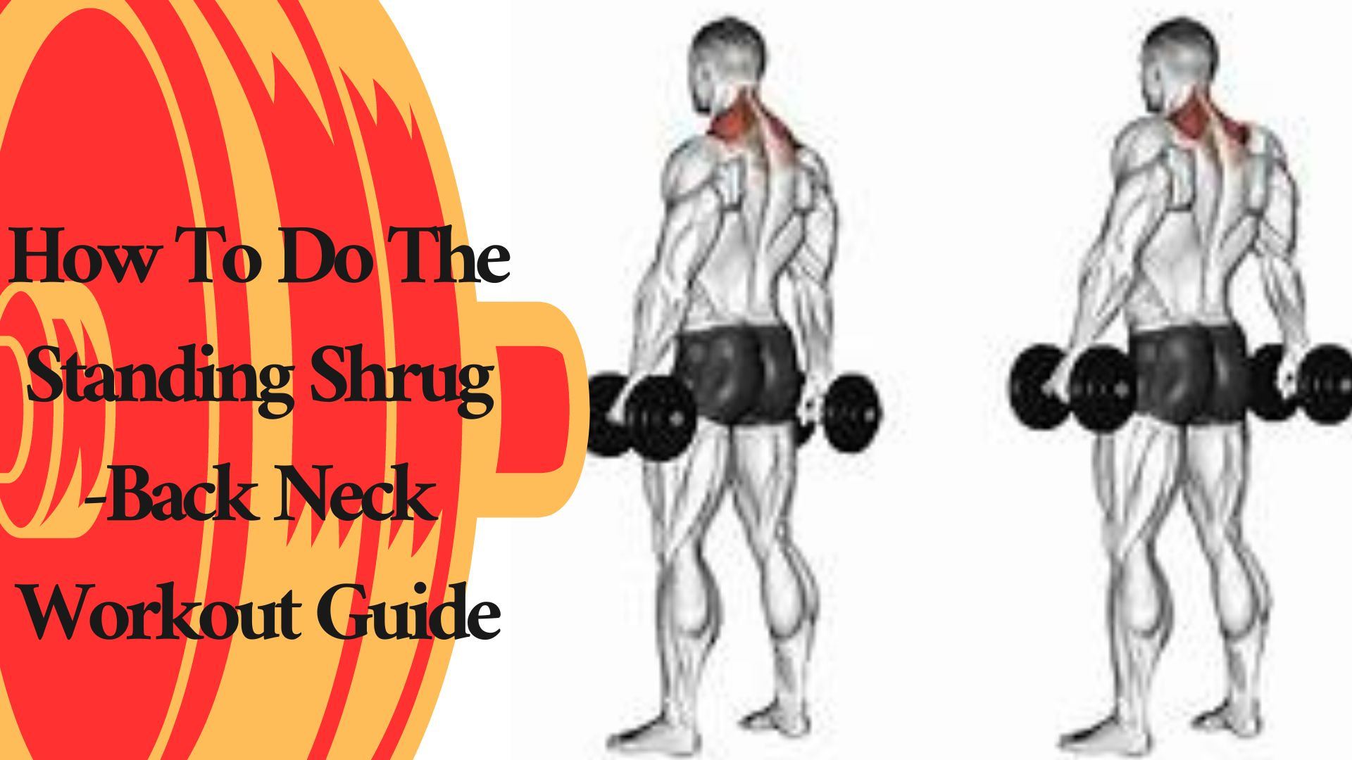 How To Do The Standing Shrug -Back Neck Workout Guide
