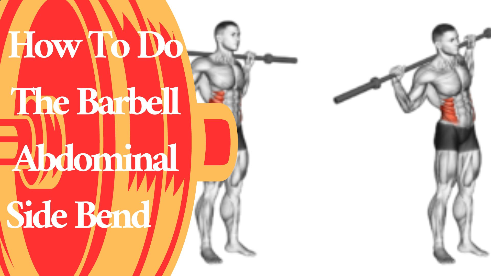 How To Do The Barbell Abdominal Side Bend Obliques Exercise