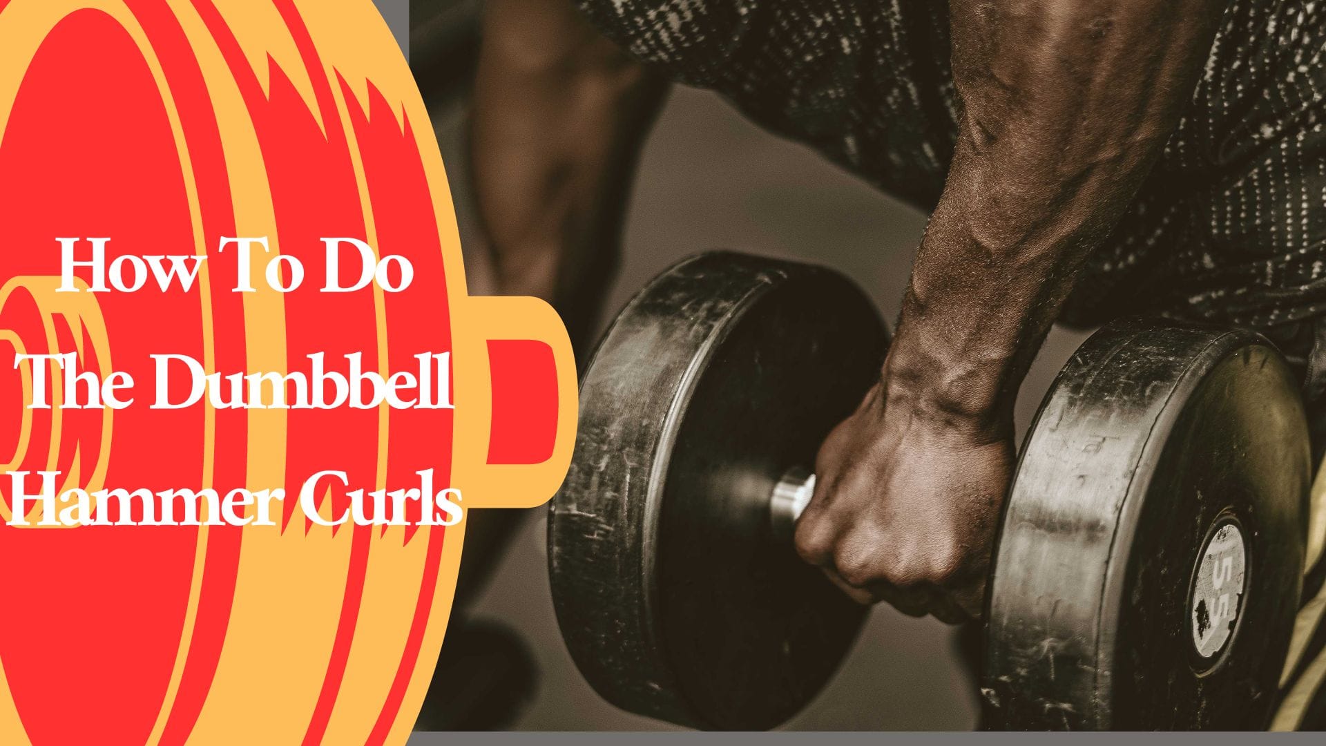 How To Do The Dumbbell Hammer Curls
