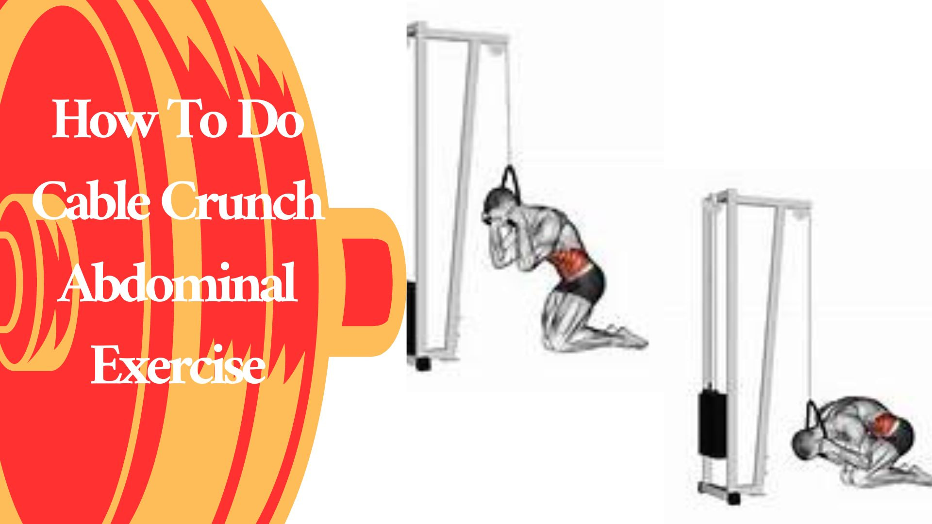How To Do Cable Crunch Abdominal Exercise