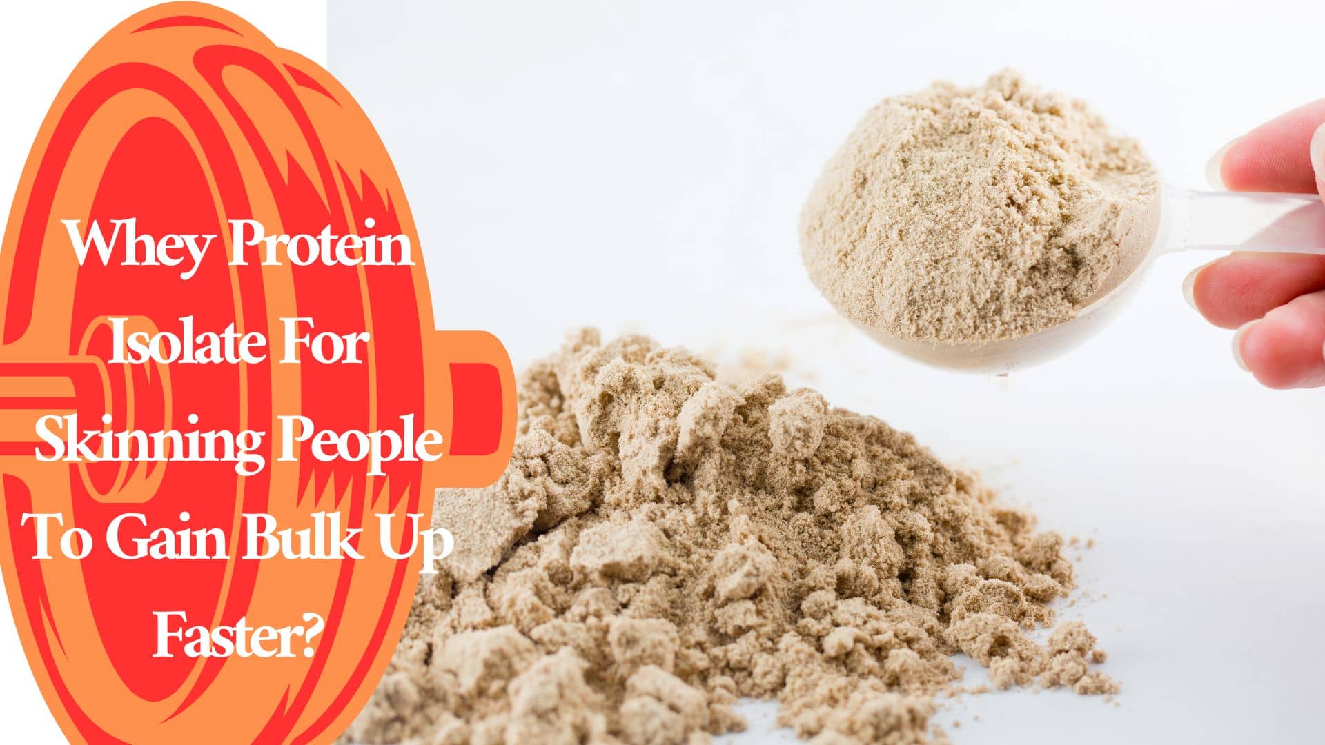 Whey Protein Isolate For Skinning People To Gain Bulk Up Faster?