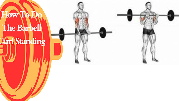 How To Do The Barbell Curl Standing