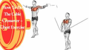 cable pulley   workout 