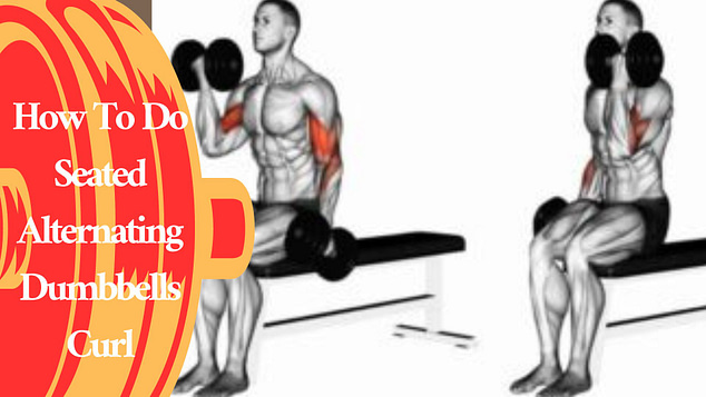How To Do Seated Alternating Dumbbells Curl