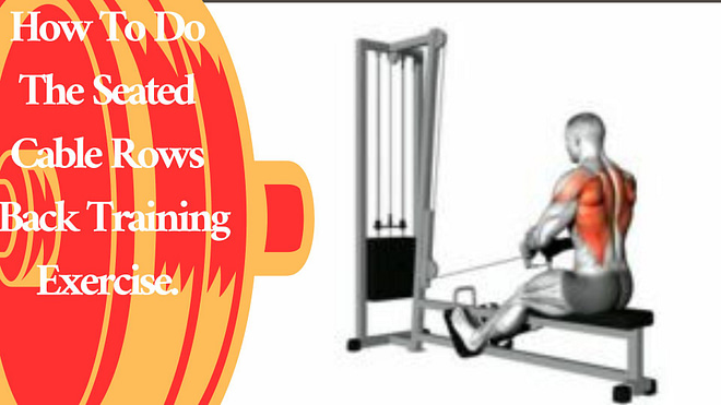 How To Do The Seated Cable Rows -Back Training Exercise.