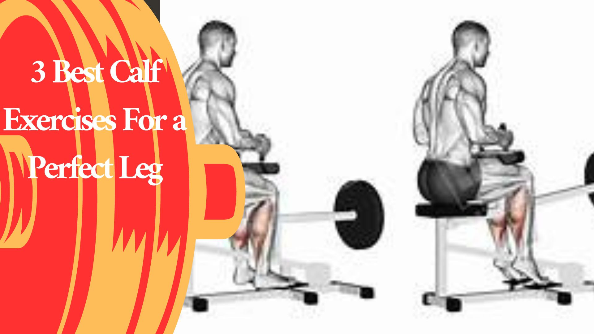 3-best-calf-exercises-for-a-perfect-leg-how-to-train-to-fit