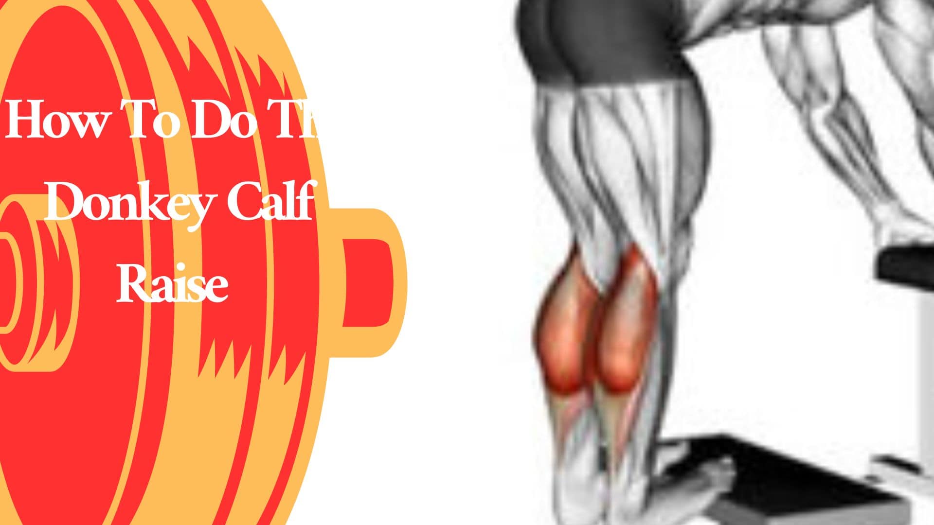 How To Do The Donkey Calf Raise In 2024