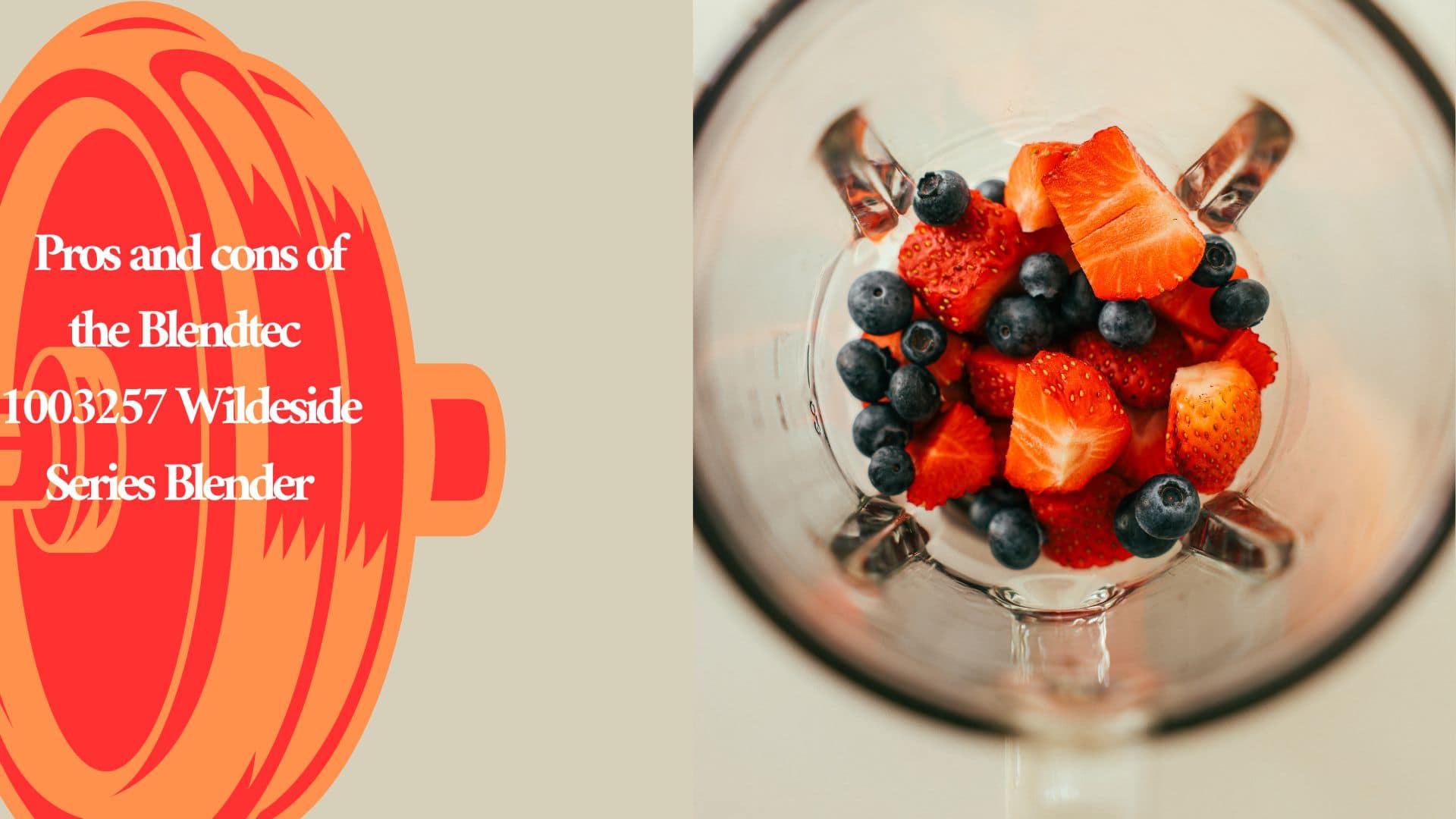 Pros and cons of the Blendtec 1003257 Wildeside Series Blender In 2024